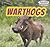 Warthogs (Powerkids Readers: Safari Animals)