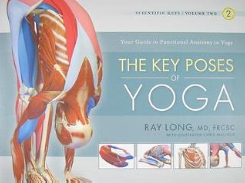 The Key Poses of Yoga: