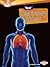 Your Respiratory System (Searchlight Books ™ - How Does Your Body Work?)