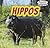 Hippos (Powerkids Readers: Safari Animals)