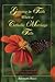 Growing in Faith When a Catholic Marriage Fails: For Divorced or Separated Catholics and Those Who Minister With Them