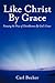 Like Christ by Grace: Pursuing the Prize of Christlikeness by God's Grace