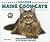 Discover Maine Coon Cats (Discover Cats With the Cat Fanciers' Association)