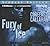 Fury of Ice (Dragonfury, #2)