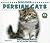 Discover Persian Cats (Discover Cats With the Cat Fanciers' Association)