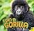 I am a Gorilla