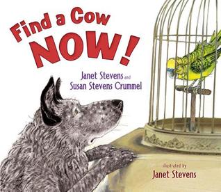 Find a Cow Now! (Hardcover)