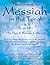 Shadows of the Messiah in the Torah Volume 3 by Dan &. Brenda Cathcart