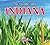 Indiana, the Hoosier State (Explore the U.S.A.)