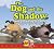 The Dog and the Shadow: Will Greed Bring You More Than You Already Know? (Animated Storytime)