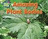 Amazing Plant Bodies: Tiny to Gigantic (Plant-ology)