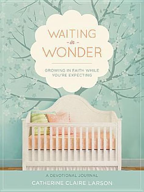Waiting in Wonder: Growing in Faith While You're Expecting