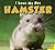 Hamster