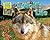 A Wolf's Life (Animal Diaries: Life Cycles)