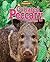 Collared Peccary: Cactus Eater (America's Hidden Animal Treasures)