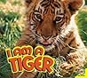 I am a Tiger by Steve Macleod