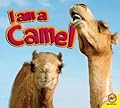 I am a Camel