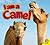 I am a Camel