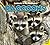 Raccoons (Animals in My Backyard)