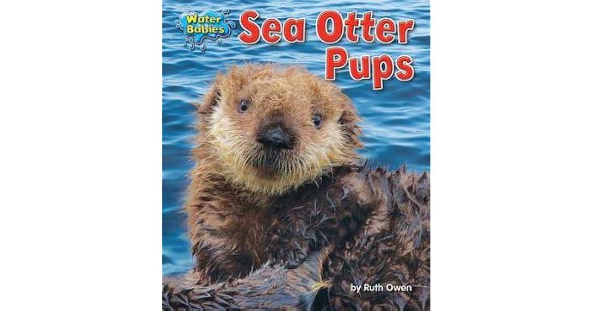 Sea Otter Pups by Ruth Owen
