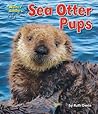 Sea Otter Pups (Water Babies)
