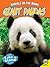 Giant Pandas (Animals on the Brink)