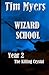 Wizard's School: Year 2 the...