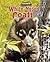 White-Nosed Coati: Raccoon's Cousin (America's Hidden Animal Treasures)