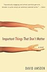 Important Things That Don't Matter: A Moving and Darkly Funny Gen Y Novel About Fathers and Sons