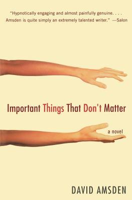 Important Things That Don't Matter: A Moving and Darkly Funny Gen Y Novel About Fathers and Sons