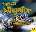 I am an Alligator