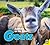 Goats (Animals on the Farm)