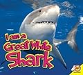 I am a Great White Shark