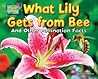 What Lily Gets from Bee: And Other Pollination Facts (Plant-ology)