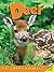 Deer with Code (Backyard Animals)