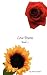 Love Poems Book 2 by Marcus Tempus