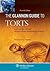 The Glannon Guide to Torts:...