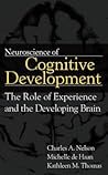 Neuroscience Of Cognitive Development: The Role Of Experience And The Developing Brain
