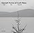 Gerard Byrne: Gestalt Forms of Loch Ness: Grid Site Sequence