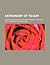 Astronomy of To-Day; A Popular Introduction in Non-Technical Language