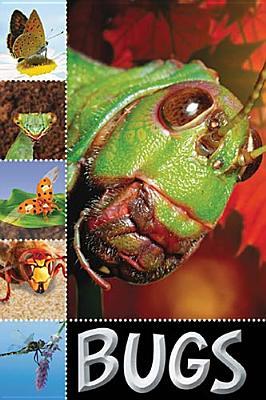 Bugs (Ready To Read)