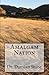 Amalgam Nation by Damian Stone