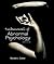 Fundamentals of Abnormal Psychology