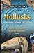 Mollusks: Morphology, Behavior and Ecology (Marine Biology)