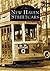 New Haven Streetcars (CT) (Images of Rail)