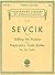 Sevcik – Shifting the Posit...