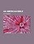An American Bible by Alice Hubbard