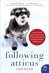 Following Atticus...