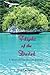 Flight of the Dudek: A Stor...
