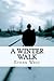 A Winter Walk